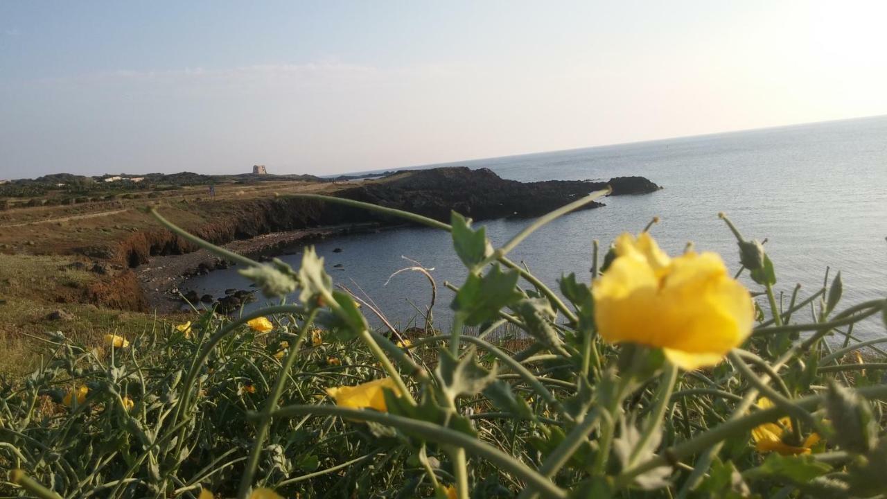 Agriturismo Pagliuzzo Устика Экстерьер фото